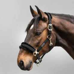 Waldhausen Exclusive Halter