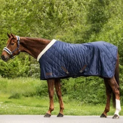 Waldhausen Exclusive Travel Rug
