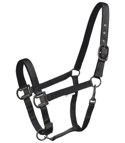 Waldhausen Gloomy Halter
