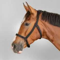 Waldhausen Grazing Halter
