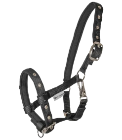 Waldhausen Halter Comfort for Foals
