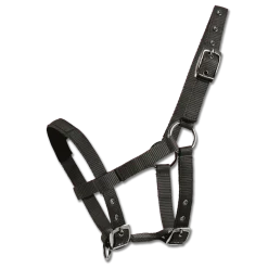 Waldhausen Halter for Mini Shetty