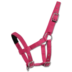 Waldhausen Halter for Mini Shetty