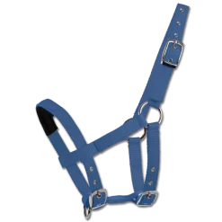 Waldhausen Halter for Mini Shetty