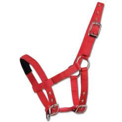 Waldhausen Halter for Mini Shetty