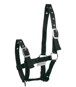 Waldhausen Halter Triple for Foals