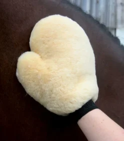 Waldhausen Lambskin Grooming Glove