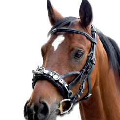 Waldhausen Leather Cavesson