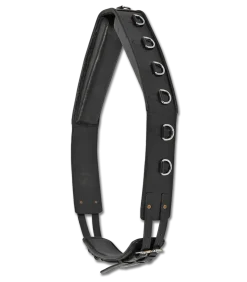 Waldhausen Leather Lunging Surcingle