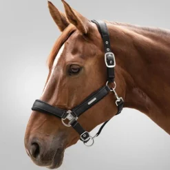 Waldhausen Mesh Halter