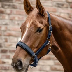 Waldhausen Mesh Halter