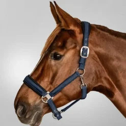 Waldhausen Mesh Halter