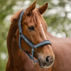 Waldhausen Mesh Halter