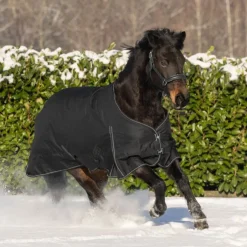 Waldhausen Nordic 300g Turnout Rug