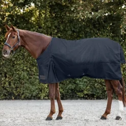 Waldhausen Nordic 300g Turnout Rug