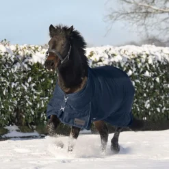Waldhausen Nordic 300g Turnout Rug