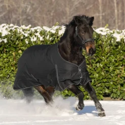 Waldhausen Nordic 200g Turnout Rug