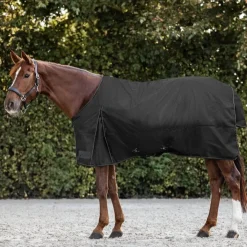 Waldhausen Nordic 100g Turnout Rug
