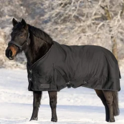 Waldhausen Nordic 100g Turnout Rug