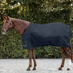 Waldhausen Nordic 50g Turnout Rug