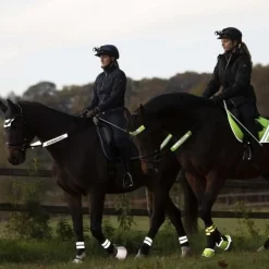 Waldhausen Reflex Bridle Set