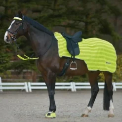 Waldhausen Reflex Hind Summer Exercise Sheet