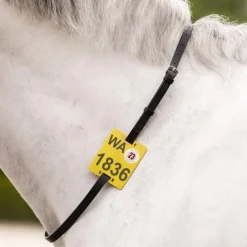 Waldhausen Riding Strap for Riding Badge