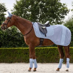 Waldhausen Rom Excercise Rug