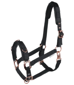 Waldhausen Rosé Lunging Halter