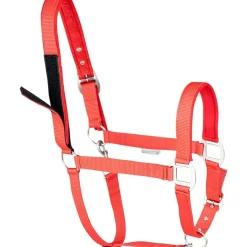 Waldhausen Safety Halter