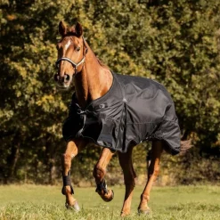 Waldhausen Scandic 100g Turnout Rug