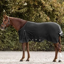 Waldhausen Scandic 200g Turnout Rug