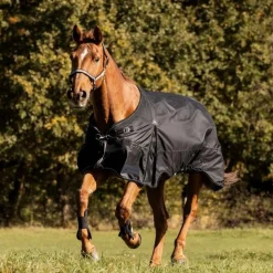 Waldhausen Scandic 200g Turnout Rug