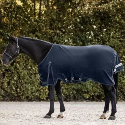 Waldhausen Scandic 50g Turnout Rug