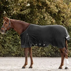 Waldhausen Scandic 300g Turnout Rug