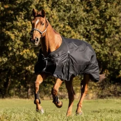 Waldhausen Scandic 300g Turnout Rug