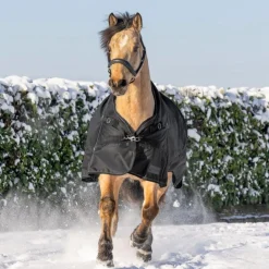 Waldhausen Scandic High Neck 100g Turnout Rug