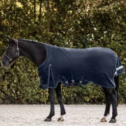 Waldhausen Scandic High Neck 100g Turnout Rug