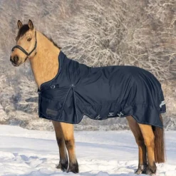 Waldhausen Scandic High Neck 100g Turnout Rug