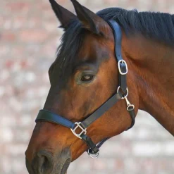 Waldhausen S-Line Anatomic Leather Halter