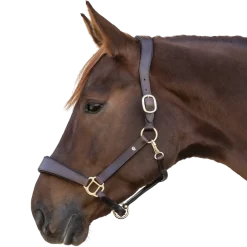 Waldhausen S-Line Anatomic Leather Halter