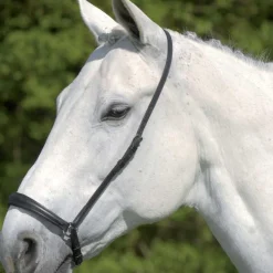 Waldhausen S-Line Drop Noseband