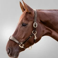 Waldhausen S-Line Royal Leather Halter