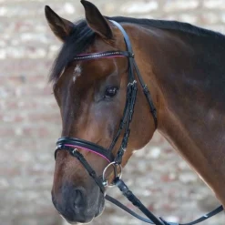 Waldhausen Star Diamond Bridle