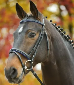 Waldhausen Star Diamond Bridle