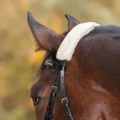 Waldhausen Synthetic Fabric Noseband Cover