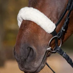 Waldhausen Synthetic Fabric Noseband Cover