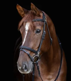 Waldhausen X-Line Bridle Work