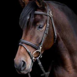 Waldhausen X-Line Bridle Work