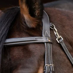 Waldhausen X-Line Bridle Work